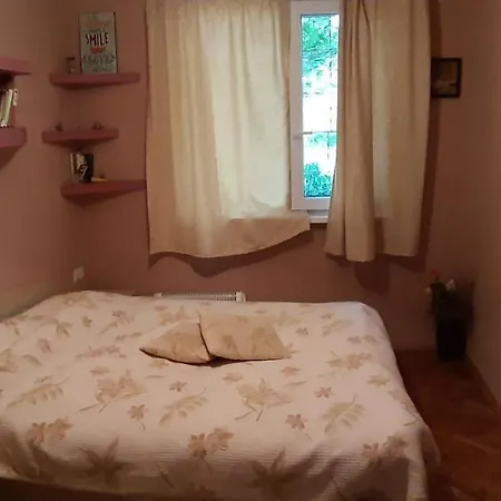 Central Apartment